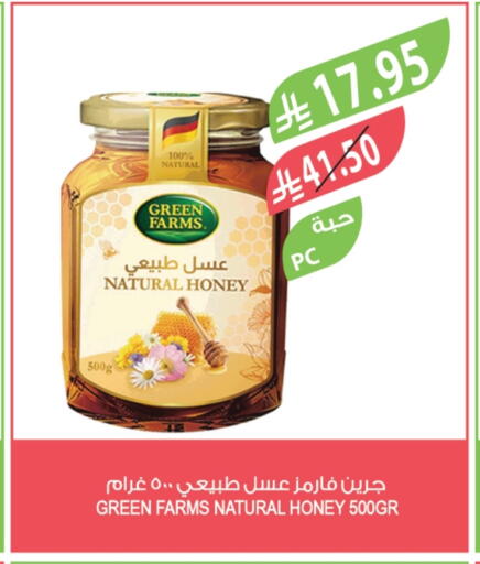 Honey available at Farm  in KSA, Saudi Arabia, Saudi - Tabuk