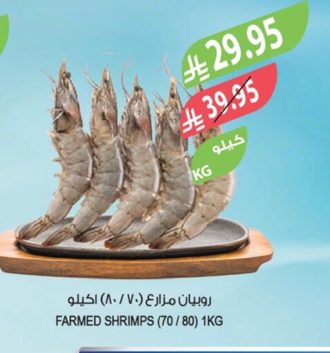 available at Farm  in KSA, Saudi Arabia, Saudi - Sakaka