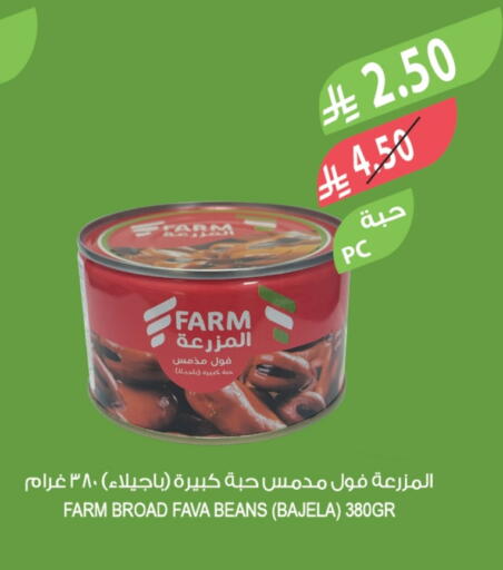 Fava Beans available at Farm  in KSA, Saudi Arabia, Saudi - Al-Kharj
