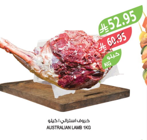 Mutton / Lamb available at Farm  in KSA, Saudi Arabia, Saudi - Al Khobar