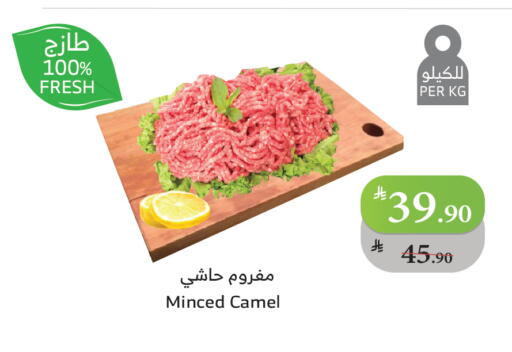 Camel meat available at Al Raya in KSA, Saudi Arabia, Saudi - Jeddah
