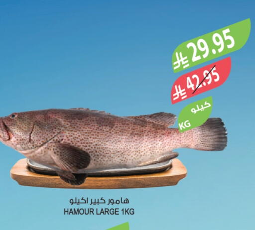 available at Farm  in KSA, Saudi Arabia, Saudi - Tabuk