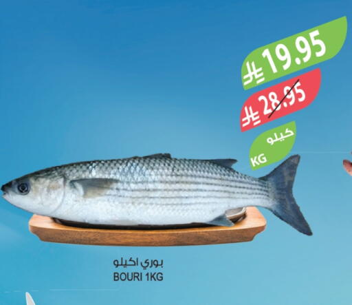 available at Farm  in KSA, Saudi Arabia, Saudi - Tabuk