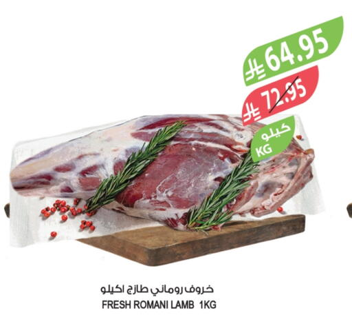 Mutton / Lamb available at Farm  in KSA, Saudi Arabia, Saudi - Al Khobar