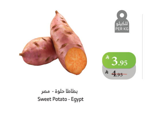 بطاطا حلوة from Egypt available at الراية in مملكة العربية السعودية, السعودية, سعودية - جدة