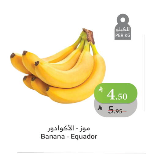 Banana available at Al Raya in KSA, Saudi Arabia, Saudi - Jeddah