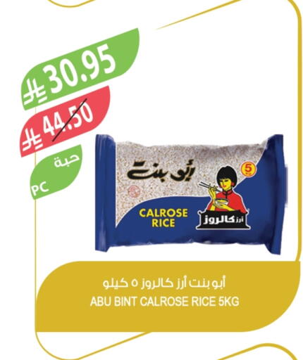 أبو بنت أرز كالروز available at المزرعة in مملكة العربية السعودية, السعودية, سعودية - تبوك
