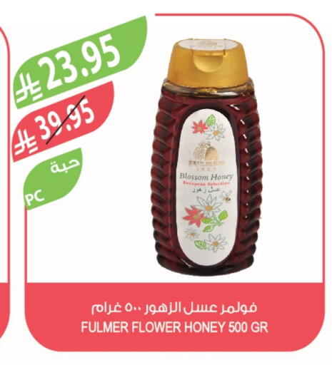 Honey available at Farm  in KSA, Saudi Arabia, Saudi - Tabuk