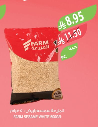 Sesame available at Farm  in KSA, Saudi Arabia, Saudi - Al-Kharj