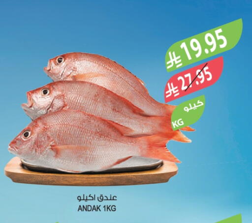 available at Farm  in KSA, Saudi Arabia, Saudi - Tabuk