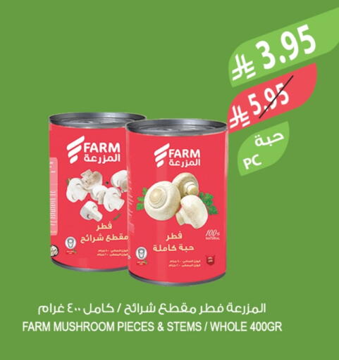 Mushroom available at Farm  in KSA, Saudi Arabia, Saudi - Al-Kharj