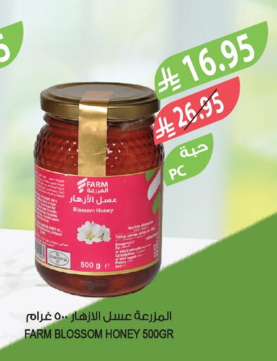 Honey available at Farm  in KSA, Saudi Arabia, Saudi - Al-Kharj