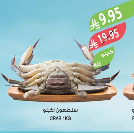 available at Farm  in KSA, Saudi Arabia, Saudi - Tabuk