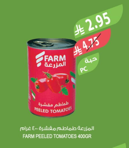 Tomato available at Farm  in KSA, Saudi Arabia, Saudi - Al-Kharj