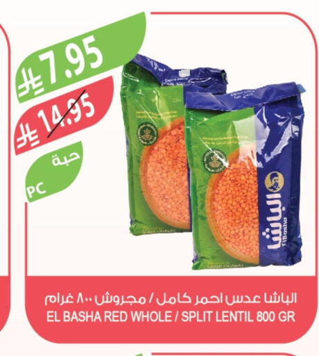available at Farm  in KSA, Saudi Arabia, Saudi - Tabuk
