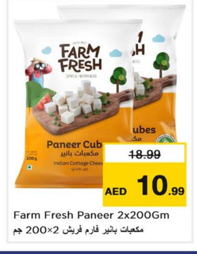 بانير available at نستو هايبرماركت in الإمارات العربية المتحدة , الامارات - دبي