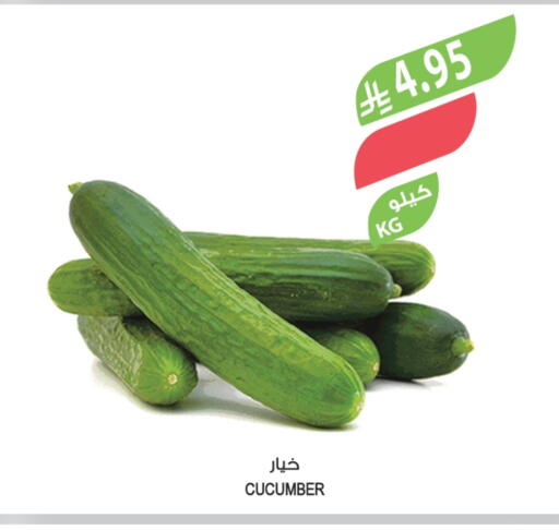 خيار available at المزرعة in مملكة العربية السعودية, السعودية, سعودية - الخبر‎