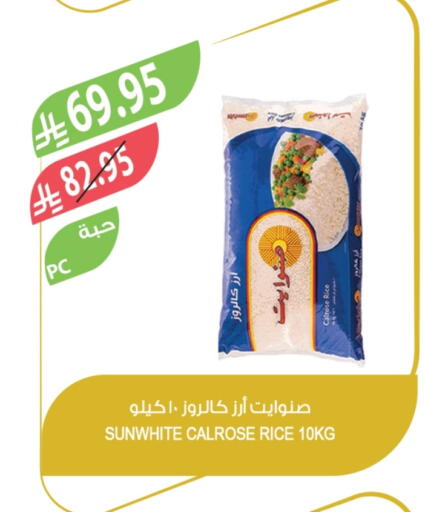 Calrose Rice available at Farm  in KSA, Saudi Arabia, Saudi - Al-Kharj