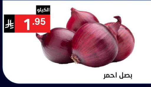 Onion available at Noori Supermarket in KSA, Saudi Arabia, Saudi - Jeddah