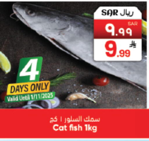 available at City Flower in KSA, Saudi Arabia, Saudi - Sakaka