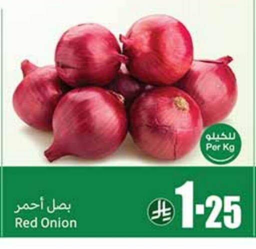 Onion available at Othaim Markets in KSA, Saudi Arabia, Saudi - Tabuk