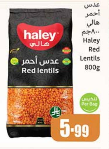 HALEY available at Othaim Markets in KSA, Saudi Arabia, Saudi - Tabuk