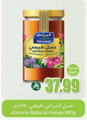 ALMARAI Honey available at Othaim Markets in KSA, Saudi Arabia, Saudi - Tabuk