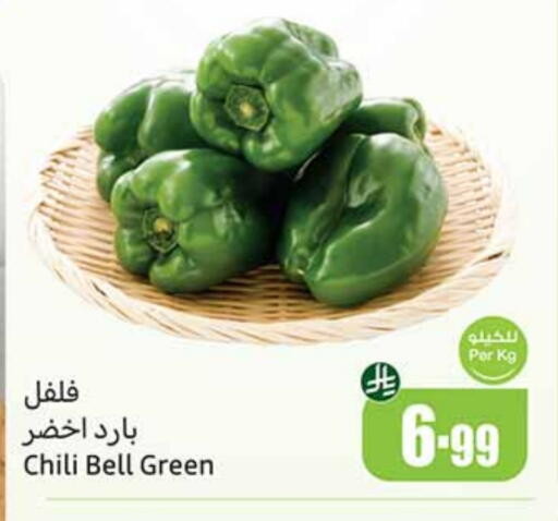 Chilli / Capsicum available at Othaim Markets in KSA, Saudi Arabia, Saudi - Jeddah