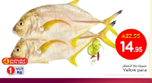 available at Nesto in KSA, Saudi Arabia, Saudi - Al-Kharj