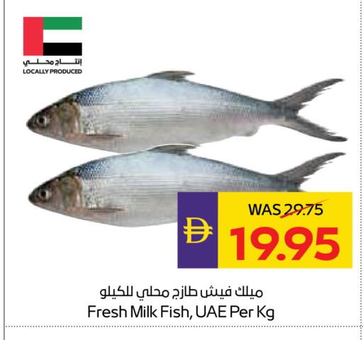 available at أدكووب in الإمارات العربية المتحدة , الامارات - رَأْس ٱلْخَيْمَة