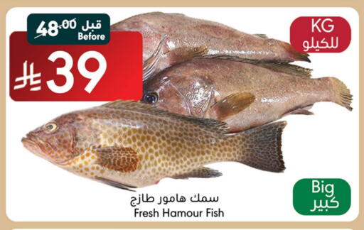 available at مانويل ماركت in مملكة العربية السعودية, السعودية, سعودية - جدة