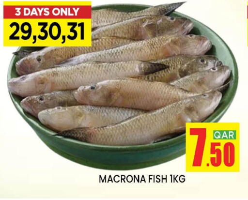 available at Doha Stop n Shop Hypermarket in Qatar - Al Wakra