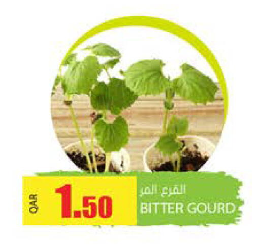 Gourd available at Grand Hypermarket in Qatar - Al Daayen