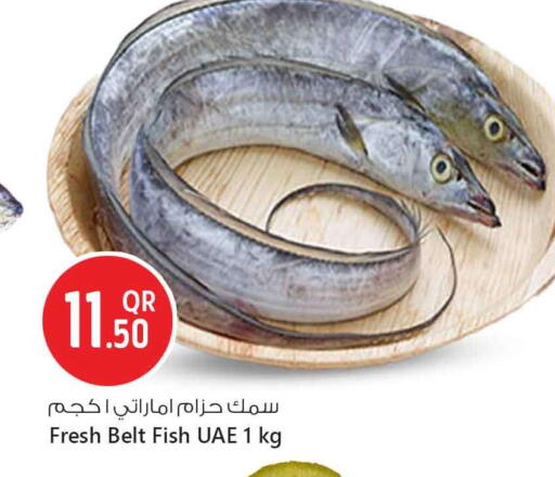 available at سفاري هايبر ماركت in قطر - الوكرة