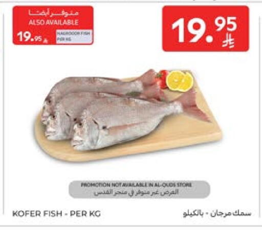available at Carrefour in KSA, Saudi Arabia, Saudi - Sakaka