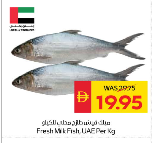 available at سبار هايبرماركت in الإمارات العربية المتحدة , الامارات - رَأْس ٱلْخَيْمَة