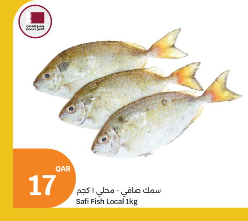 available at City Hypermarket in Qatar - Al Wakra