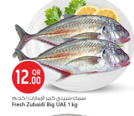 available at Safari Hypermarket in Qatar - Al Wakra