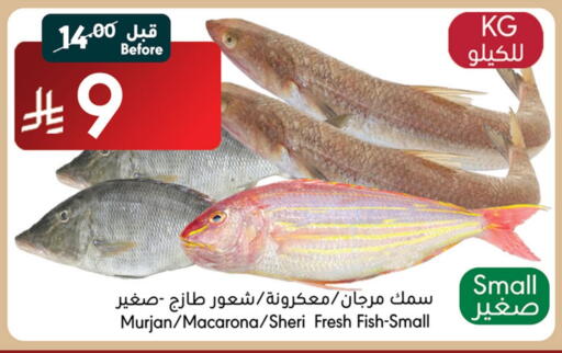 available at مانويل ماركت in مملكة العربية السعودية, السعودية, سعودية - جدة