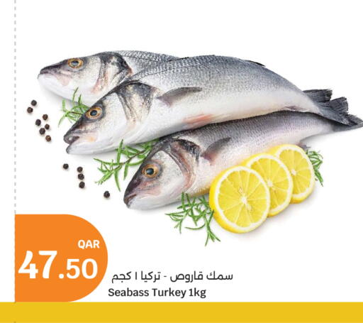 available at City Hypermarket in Qatar - Al Wakra
