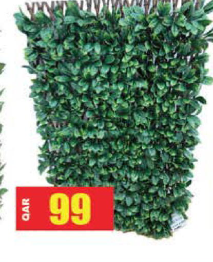 available at جراند هايبرماركت in قطر - الوكرة