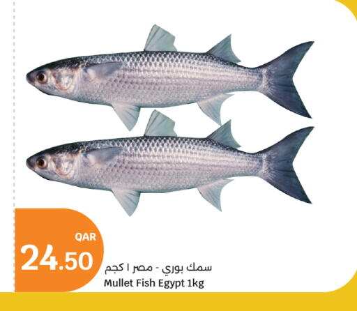 available at City Hypermarket in Qatar - Al Wakra