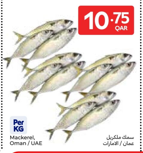 available at كارفور in قطر - الوكرة