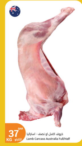 Meat - Fresh & Chilled in City Hypermarket, Qatar Offers - Qatar Mutton / Lamb available at City Hypermarket in Qatar - Doha