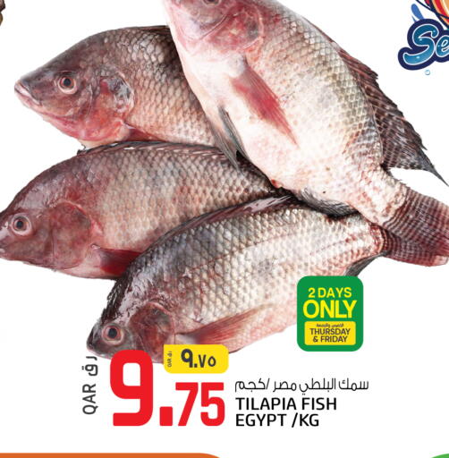 available at السعودية in قطر - الريان