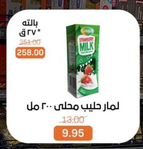 Flavoured Milk available at Beit El Gomla in Egypt - Cairo