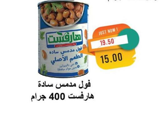 Fava Beans available at Metro Market  in Egypt - Cairo