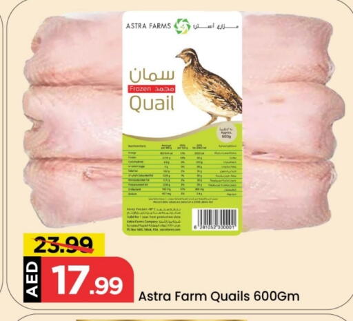 Date available at مارك & سيف in الإمارات العربية المتحدة , الامارات - أبو ظبي