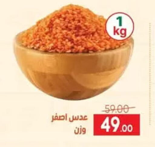 available at سفير ماركت in Egypt - القاهرة