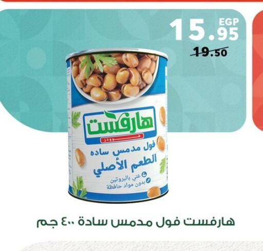 Fava Beans available at Panda  in Egypt - Cairo